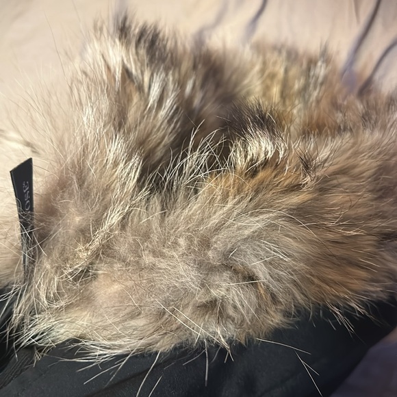 Authentic 🇨🇦 Canada goose jacket - Picture 16 of 17